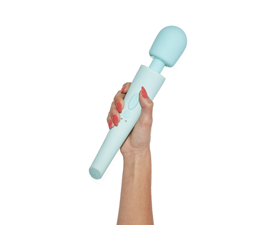 Aqua Back Massager